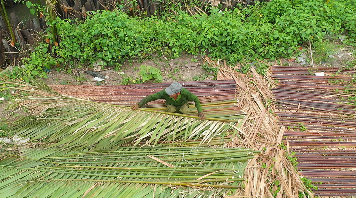 Overhead view of a person in a flat cap kneeling among rows of coconut-leaf panels laid on the ground, one row already browned and dry, another still green, both hands holding a leaf just set in place.
