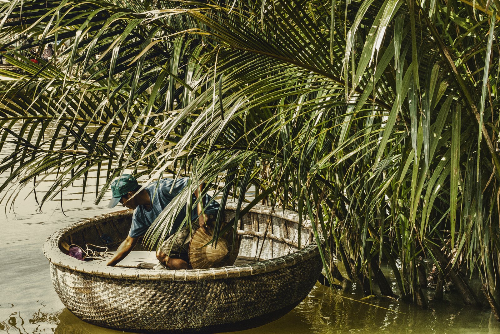 A person seated in a small basket boat reaches into dense nipa-palm fronds growing at the waterline to cut them, the water below mirroring the green canopy above.