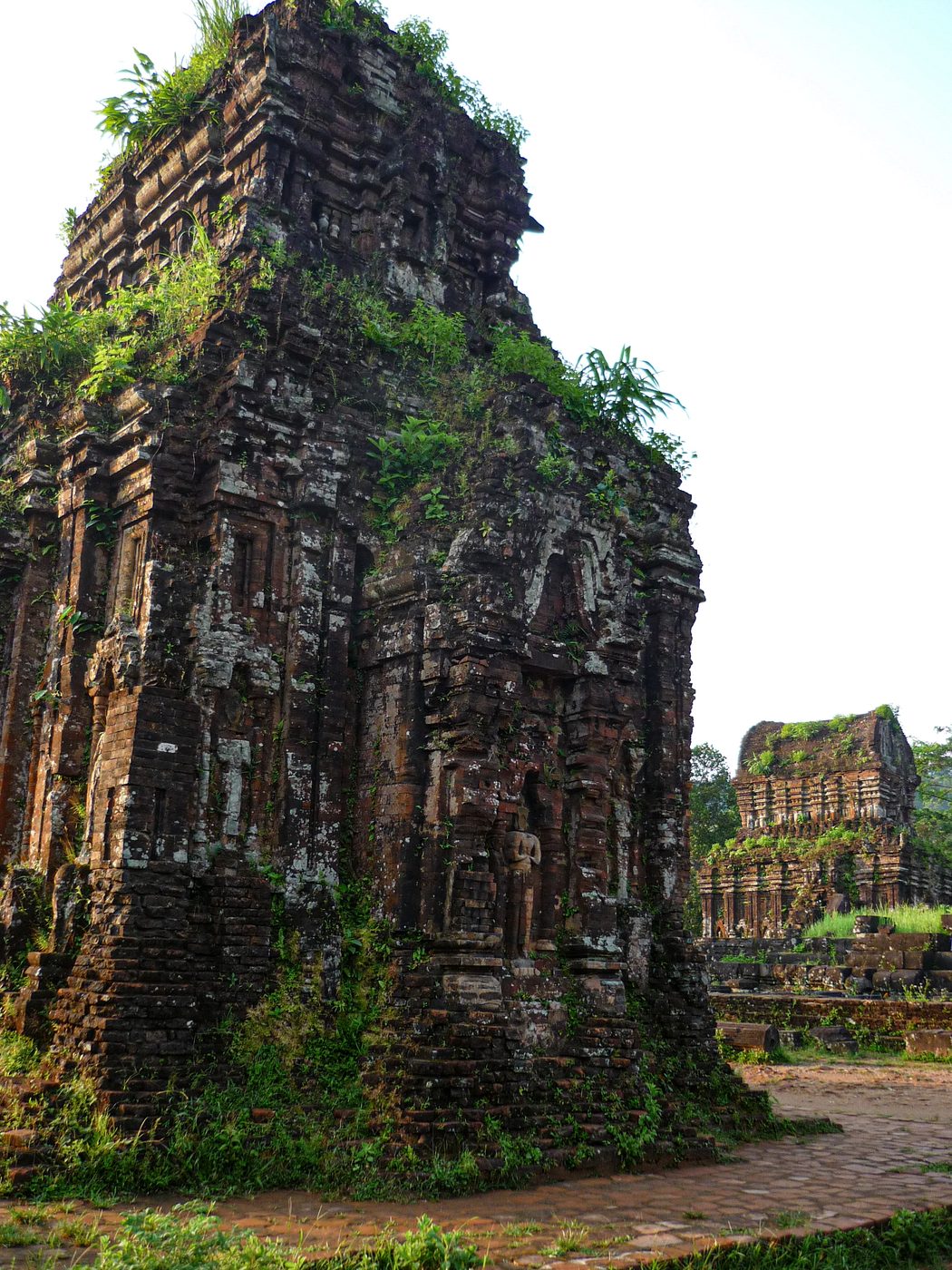 A group of Cham brick towers at Mỹ Sơn standing among grass and forest, the brickwork darkened and the roofs broken away, low hills behind.